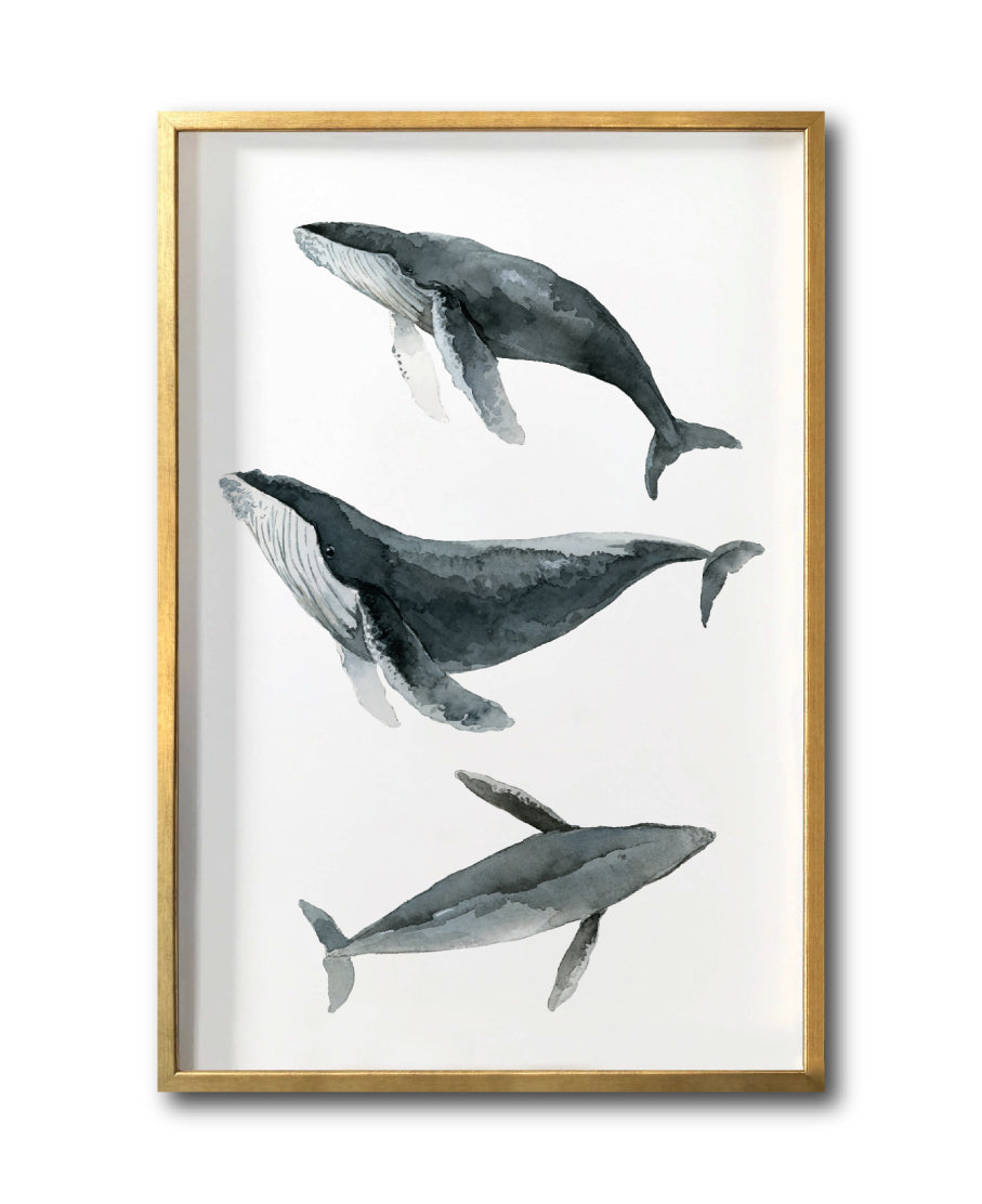 Compra cuadros Fondo Marino en México para tu Sala. Galería314. Ballenas.