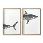 Cargar imagen en el visor de la galería, Set Cuadros Decorativos Marino 053 Tiburón
