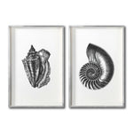 Cargar imagen en el visor de la galería, Set Cuadros Decorativos Marino  072 Caracoles
