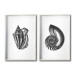 Cargar imagen en el visor de la galería, Set Cuadros Decorativos Marino  072 Caracoles
