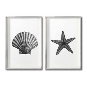 Set Cuadros Decorativos Marino  074 Concha y Estrella de Mar