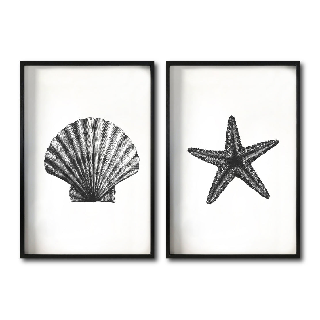 Set Cuadros Decorativos Marino  074 Concha y Estrella de Mar