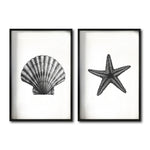 Cargar imagen en el visor de la galería, Set Cuadros Decorativos Marino  074 Concha y Estrella de Mar
