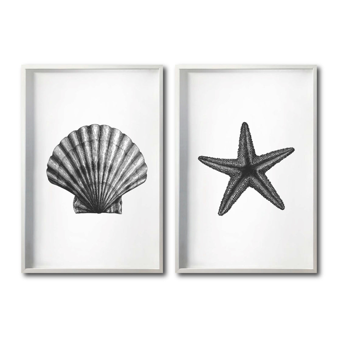 Set Cuadros Decorativos Marino  074 Concha y Estrella de Mar