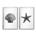 Cargar imagen en el visor de la galería, Set Cuadros Decorativos Marino  074 Concha y Estrella de Mar
