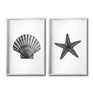 Set Cuadros Decorativos Marino  074 Concha y Estrella de Mar