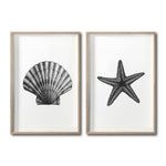 Cargar imagen en el visor de la galería, Set Cuadros Decorativos Marino  074 Concha y Estrella de Mar
