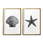 Cargar imagen en el visor de la galería, Cuadros decorativos fondo Marino moderno para sala. Galería 314. Concha. Estrella.
