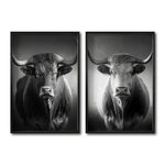 Cargar imagen en el visor de la galería, Compra de cuadros decorativos Toros para tu sala en Ciudad de México. Galería 314. Blanco y negro.
