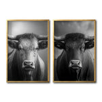 Cargar imagen en el visor de la galería, Set Cuadros Decorativos Toros 002
