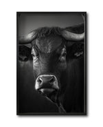 Cargar imagen en el visor de la galería, Compra cuadros online de Toros para sala. Galería 314.
