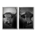 Cargar imagen en el visor de la galería, Set Cuadros Decorativos Toros 005
