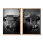 Cargar imagen en el visor de la galería, Set Cuadros Decorativos Toros 005
