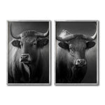 Cargar imagen en el visor de la galería, Set Cuadros Decorativos Toros 007
