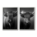 Cargar imagen en el visor de la galería, Set Cuadros Decorativos Toros 007
