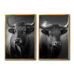 Cargar imagen en el visor de la galería, Set Cuadros Decorativos Toros 007
